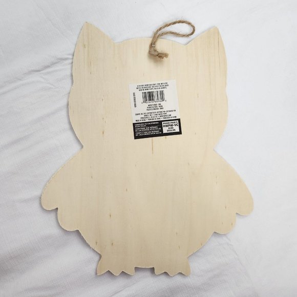 Wooden Owl Shape DIY Craft Paint Sign Blank - Picture 4 of 7